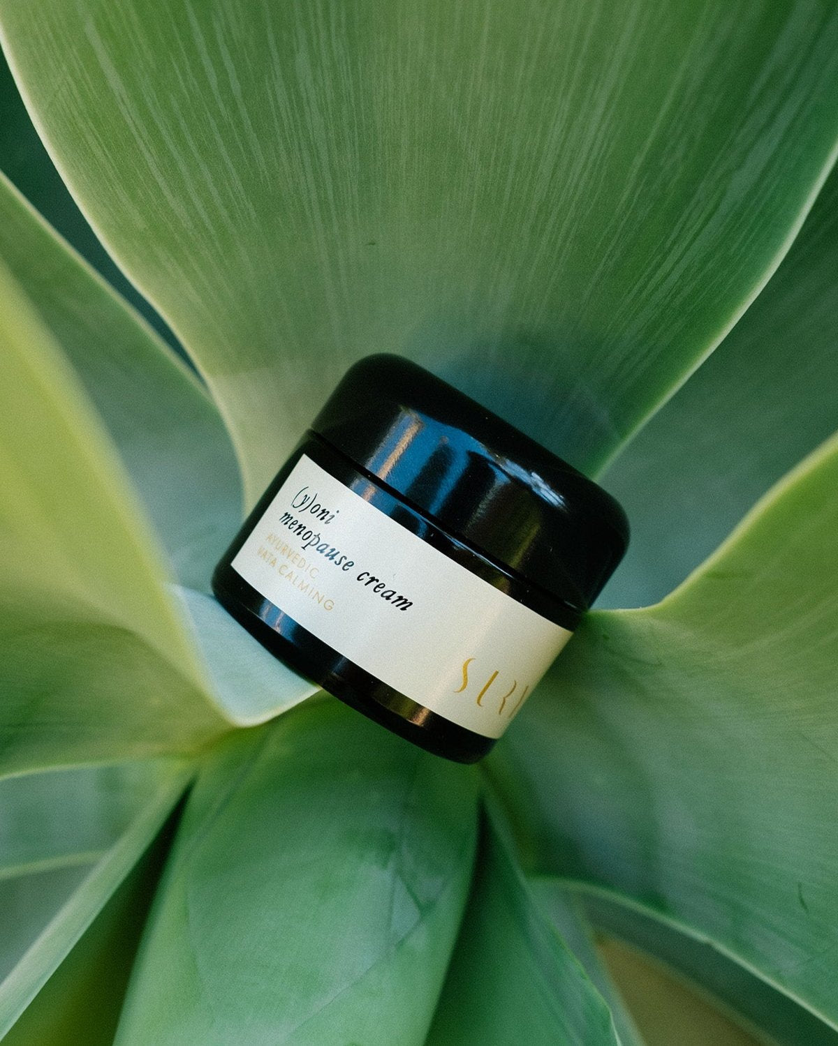 The Wellness Collection