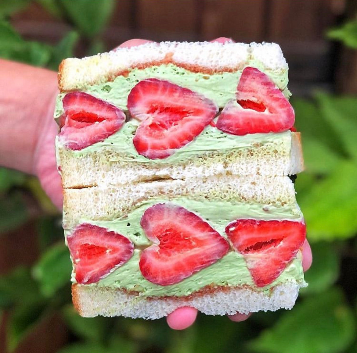 Organic Signature Matcha