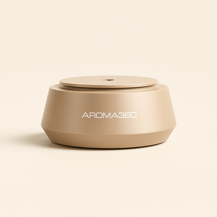 Smart Car Diffuser — platinum — Clean ecommerce product shot — refreshed editorial photography