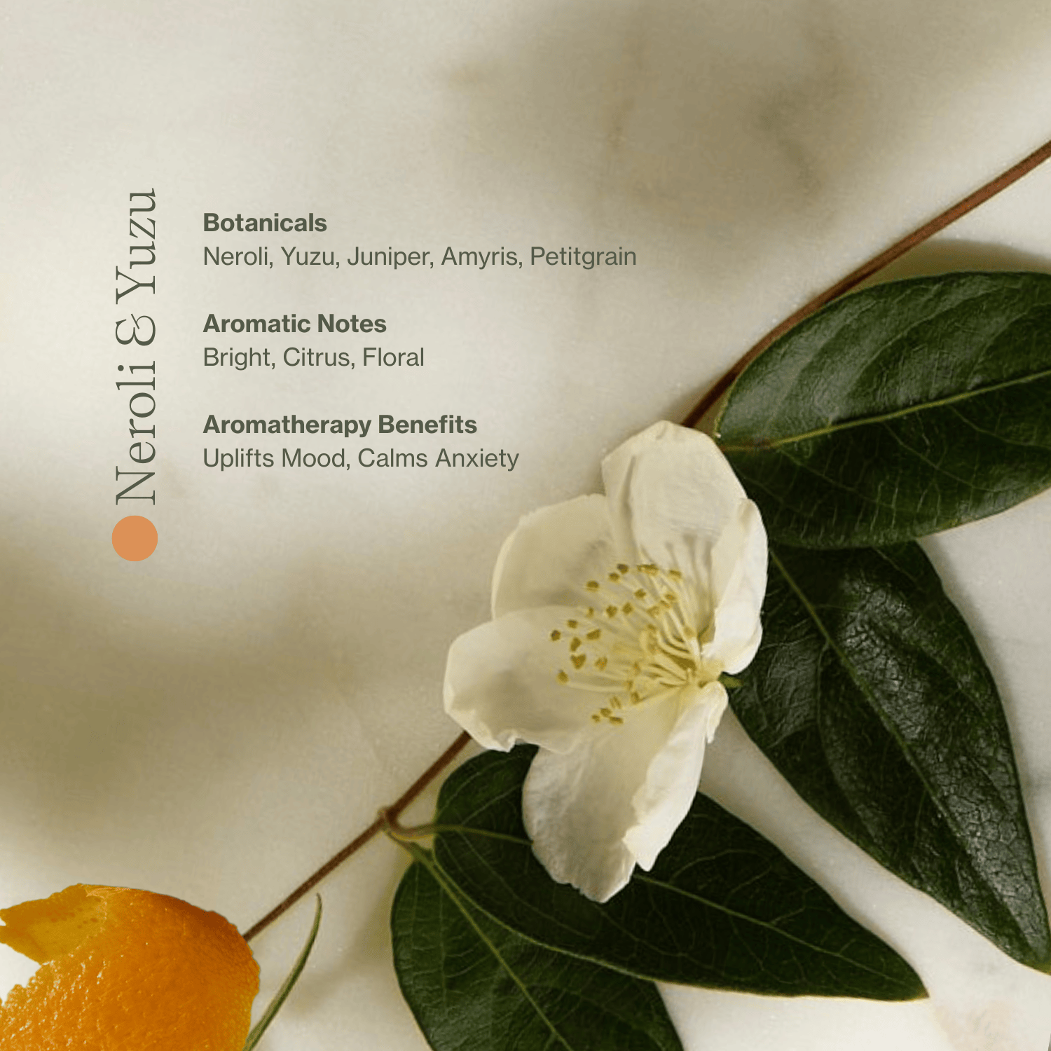 Vitamin C Body Oil